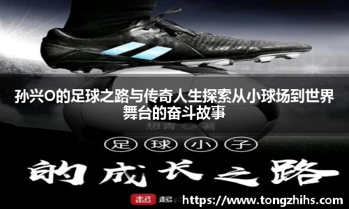 孙兴O的足球之路与传奇人生探索从小球场到世界舞台的奋斗故事