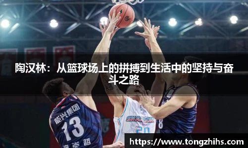 陶汉林：从篮球场上的拼搏到生活中的坚持与奋斗之路