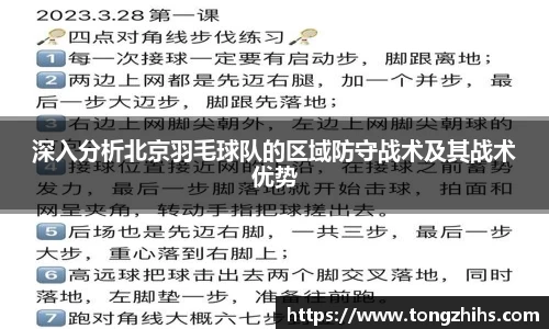 深入分析北京羽毛球队的区域防守战术及其战术优势