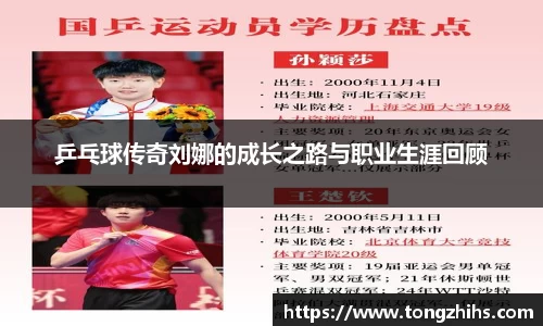 乒乓球传奇刘娜的成长之路与职业生涯回顾